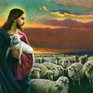 天主教內(nèi)訌---《簡明教會歷史》告訴你基督教如何發(fā)展到今天？