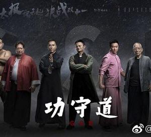 《功守道》的影響力能否能超越《戰(zhàn)狼2》？制作方能否名利雙收？