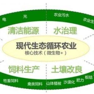 辦一個(gè)生態(tài)循環(huán)養(yǎng)殖農(nóng)場需要什么手續(xù)？申請(qǐng)流程是什么？
