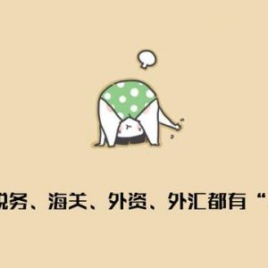 年報(bào)大全：個(gè)稅、企業(yè)所得稅、出口退稅、工商年報(bào)、稅務(wù)年報(bào)、海關(guān)年報(bào)…