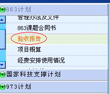 863驗(yàn)收報告