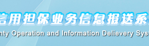 2018年中小企業(yè)信用擔保業(yè)務(wù)信息報送系統(tǒng)填報操作說明 （最新）