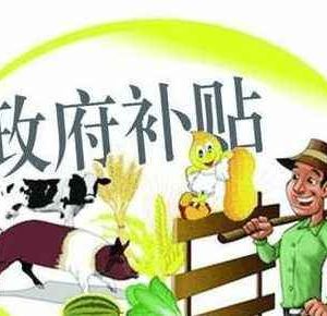 如何快速申請農村扶持補貼資金？