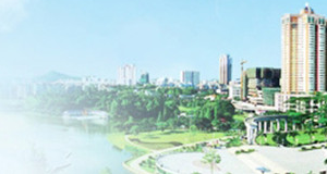 江門市高新技術企業(yè)認定申報初步核實意見表