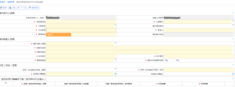 服務(wù)貿(mào)易等項目對外支付稅務(wù)備案界面
