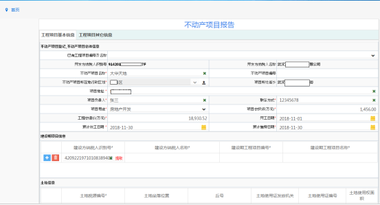 不動產(chǎn)項(xiàng)目報(bào)告