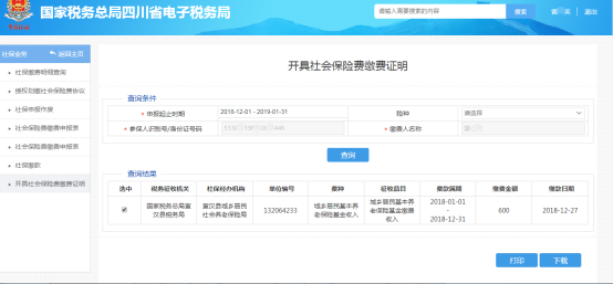 輸入查詢(xún)條件點(diǎn)擊查詢(xún)