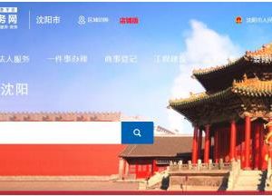 沈陽政務服務證照下載及政務云盤及歷史材料復用操作說明