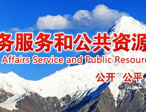 甘孜州應(yīng)對(duì)新型冠狀病毒肺炎疫情防控工作咨詢(xún)及監(jiān)督電話(huà)