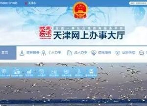 天津市政務(wù)服務(wù)網(wǎng)政務(wù)一網(wǎng)通用戶注冊(cè)及在線辦理事項(xiàng)操作流程說明