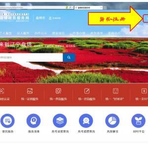 盤錦市政務(wù)服務(wù)網(wǎng)入口及一體化平臺(tái)在線辦事指南
