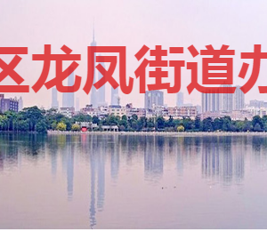 廣州市海珠區(qū)龍鳳街道辦事處各部門(mén)聯(lián)系電話(huà)