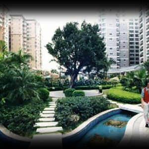 廣州市白云區(qū)棠景街道各村社區(qū)居委會(huì)地址及聯(lián)系電話(huà)