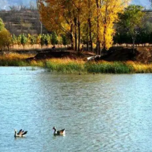 平山縣宅北鄉(xiāng)人民政府各科室辦公電話(huà)