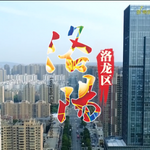 洛陽(yáng)市洛龍區(qū)政府各職能部門工作時(shí)間及聯(lián)系電話