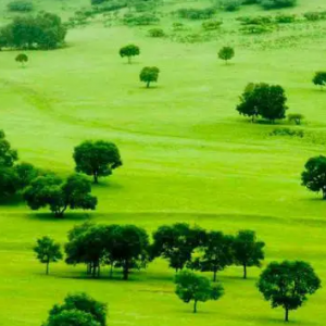 豐寧縣統(tǒng)計(jì)局各股室對外聯(lián)系電話