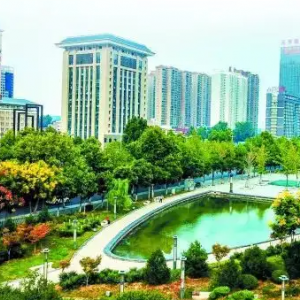 洛陽市洛龍區(qū)人民政府辦公室各科室對(duì)外聯(lián)系電話