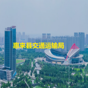 惠來縣政務服務中心交通運輸服務區(qū)窗口咨詢電話