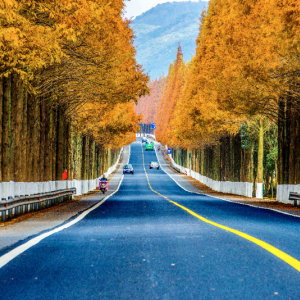 寧?？h人民政府辦公室各部門對外聯(lián)系電話