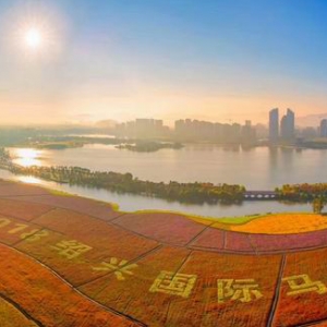 紹興市越城區(qū)人民政府辦公室各部門負(fù)責(zé)人和聯(lián)系電話