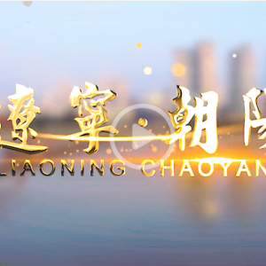 朝陽市各縣（市）區(qū)、市政府部門和有關(guān)單位地址和聯(lián)系電話