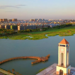 鎮(zhèn)賚縣政府各職能部門政務公開聯(lián)系電話