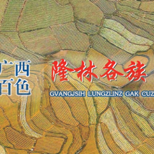 隆林縣政府各職能部門(mén)地址工作時(shí)間和聯(lián)系電話