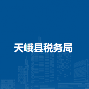 天峨縣稅務(wù)局辦稅服務(wù)廳辦公時(shí)間地址及納稅服務(wù)電話