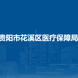 貴陽市花溪區(qū)醫(yī)療保障局辦公室（醫(yī)藥服務(wù)管理科、待遇保障科）