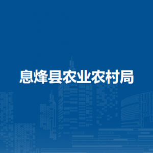 息烽縣鄉(xiāng)村振興服務(wù)中心鄉(xiāng)村管理服務(wù)科