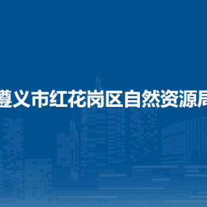遵義市紅花崗區(qū)自然資源局國(guó)土空間用途管制股