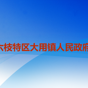 六盤(pán)水市六枝特區(qū)大用鎮(zhèn)政府各部門(mén)工作時(shí)間和聯(lián)系電話