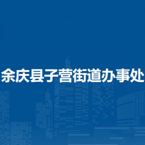 余慶縣子營街道辦事處?黨務(wù)政務(wù)服務(wù)中心