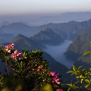 道真縣各鄉(xiāng)鎮(zhèn)政府（街道辦事處）工作時間和聯(lián)系電話