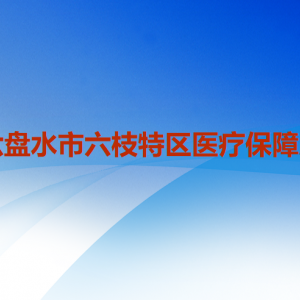 六盤(pán)水市六枝特區(qū)醫(yī)療保障局各部門(mén)職責(zé)及聯(lián)系電話