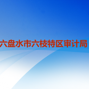 六盤水市六枝特區(qū)審計(jì)局各部門職責(zé)及聯(lián)系電話