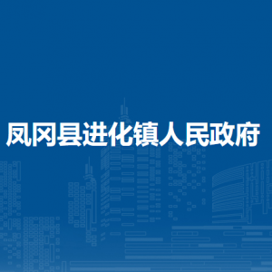 鳳岡縣進(jìn)化鎮(zhèn)政府各部門負(fù)責(zé)人和聯(lián)系電話