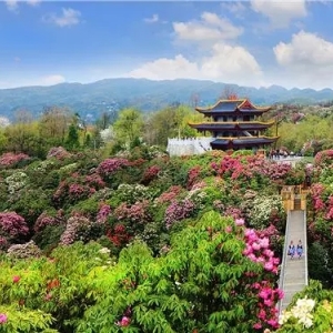 大方縣各鄉(xiāng)鎮(zhèn)政府（街道辦事處）工作時(shí)間和聯(lián)系電話