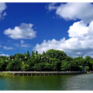 安順市西秀區(qū)政府各職能部門地址工作時(shí)間和聯(lián)系電話