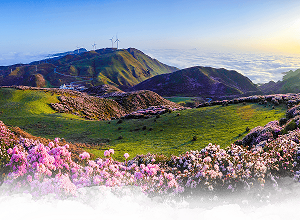 盤州市政府各職能部門地址工作時間和聯(lián)系電話