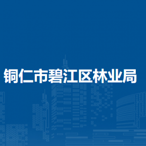 銅仁市碧江區(qū)林業(yè)局各部門(mén)負(fù)責(zé)人及聯(lián)系電話