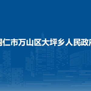 銅仁市萬山區(qū)大坪鄉(xiāng)政府各部門負責(zé)人及聯(lián)系電話