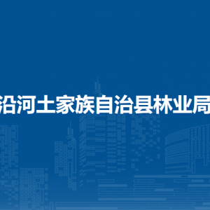 沿河土家族自治縣林業(yè)局各部門(mén)負(fù)責(zé)人及聯(lián)系電話(huà)