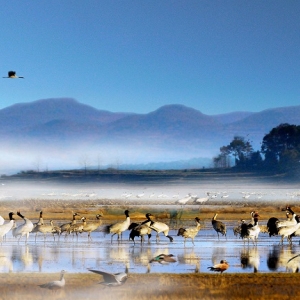 威寧自治縣政府各職能部門地址工作時間和聯(lián)系電話