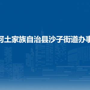 沿河土家族自治縣沙子街道辦事處各部門(mén)負(fù)責(zé)人及聯(lián)系電話