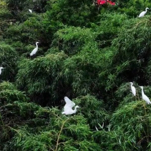 印江縣政府各職能部門地址工作時(shí)間和聯(lián)系電話