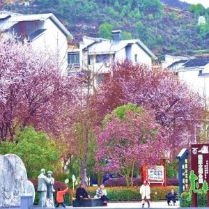 鎮(zhèn)遠(yuǎn)縣各鄉(xiāng)鎮(zhèn)政府工作時間和聯(lián)系電話