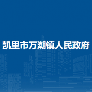 凱里市萬潮鎮(zhèn)?黨務(wù)政務(wù)綜合服務(wù)中心（退役軍人服務(wù)站）