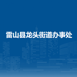 雷山縣龍頭街道?黨務(wù)政務(wù)綜合服務(wù)中心（黨群服務(wù)中心）