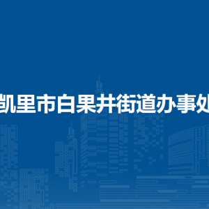 凱里市白果井街道辦事處?黨務(wù)政務(wù)服務(wù)中心（退役軍人服務(wù)站）